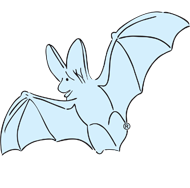 Sonowied Logo