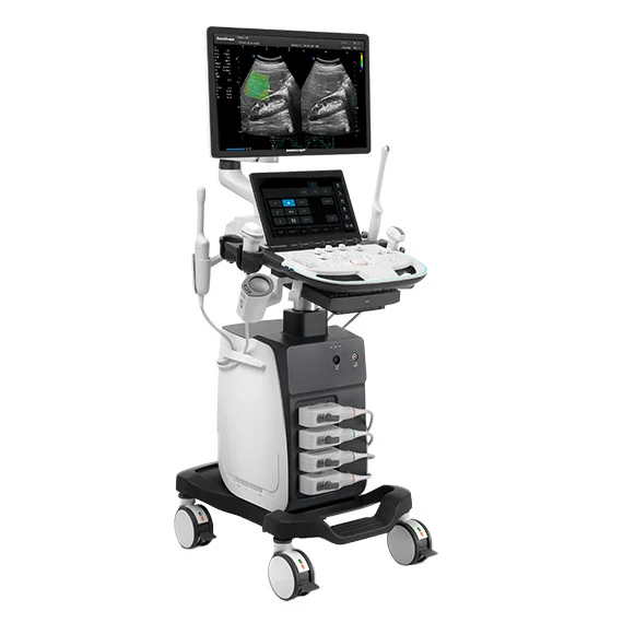 P12 Elite ohne Schatten